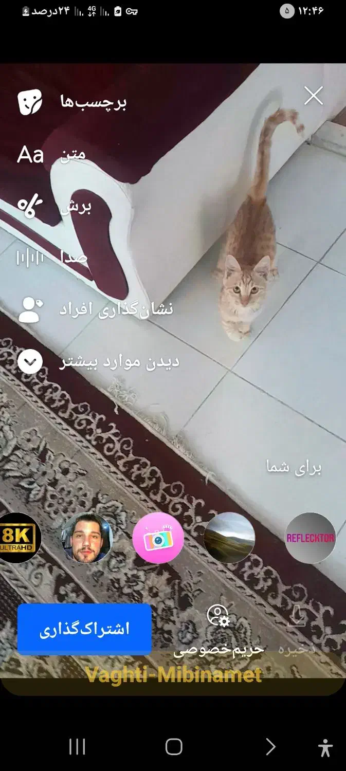 گربه،گمشده|گربه|اصفهان, مارچین|دیوار