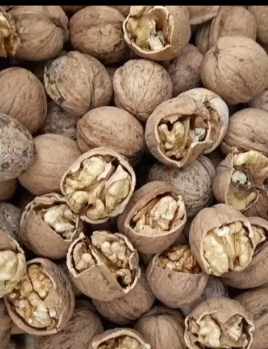 گردو|خوردنی و آشامیدنی|شاهین دژ, |دیوار