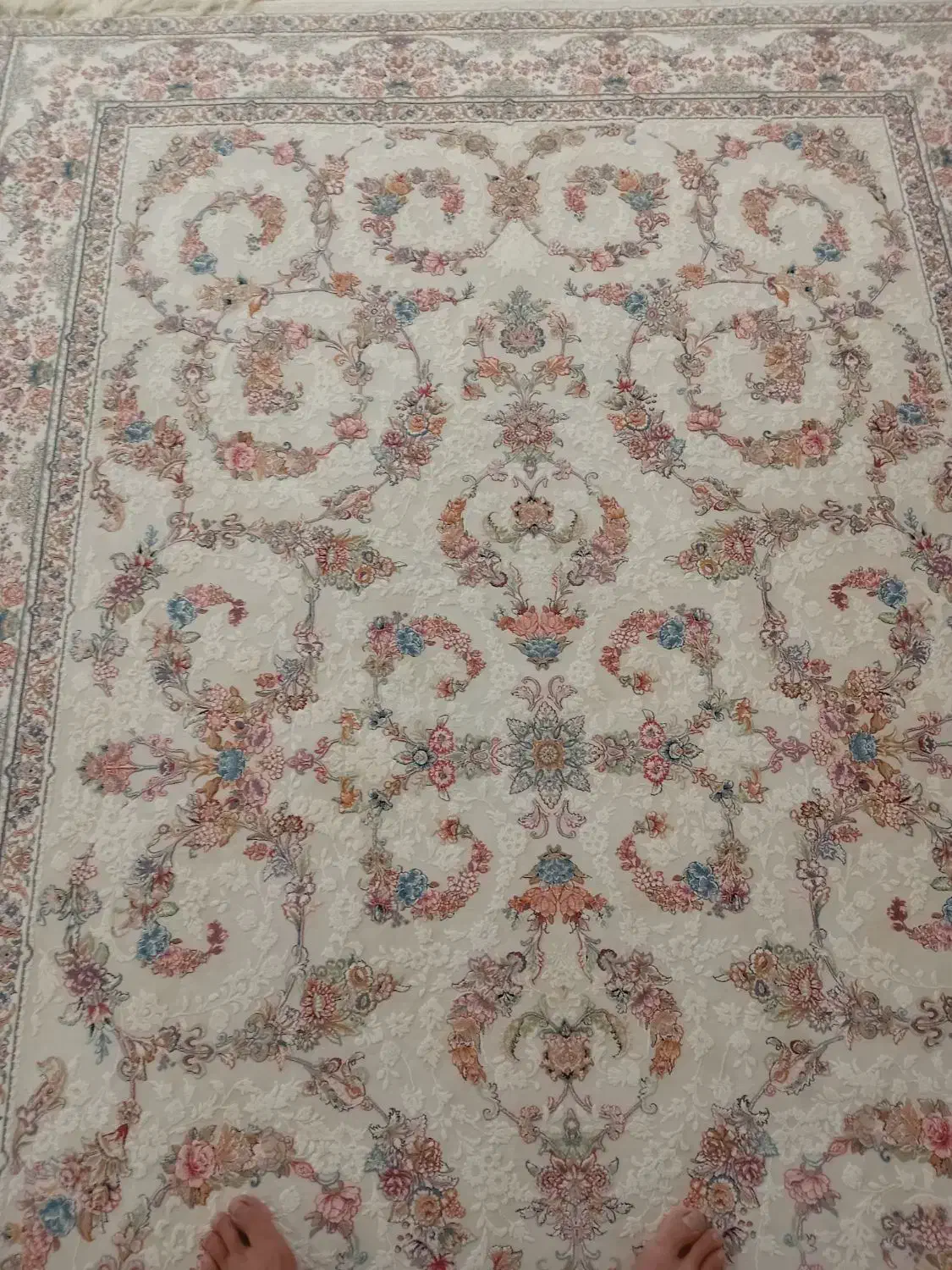 چهار عدد قالی ۱۲۰۰شانه نو|فرش|دیواندره, |دیوار