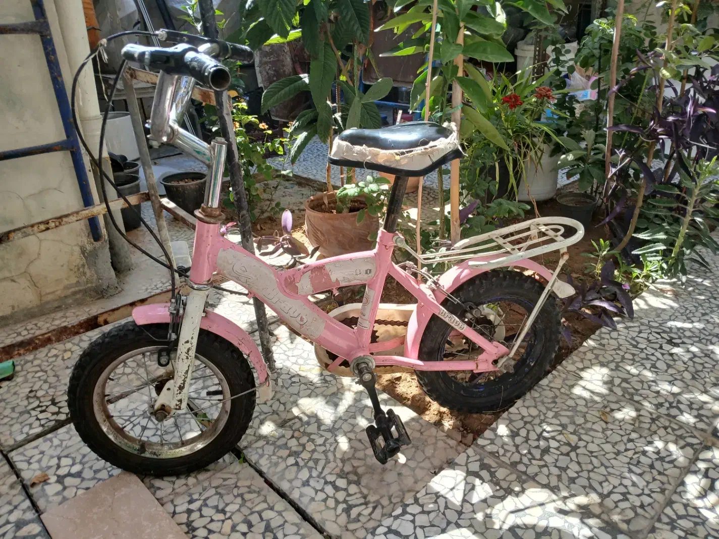 دوچرخه|دوچرخه، اسکیت، اسکوتر|مرودشت, ژیان|دیوار