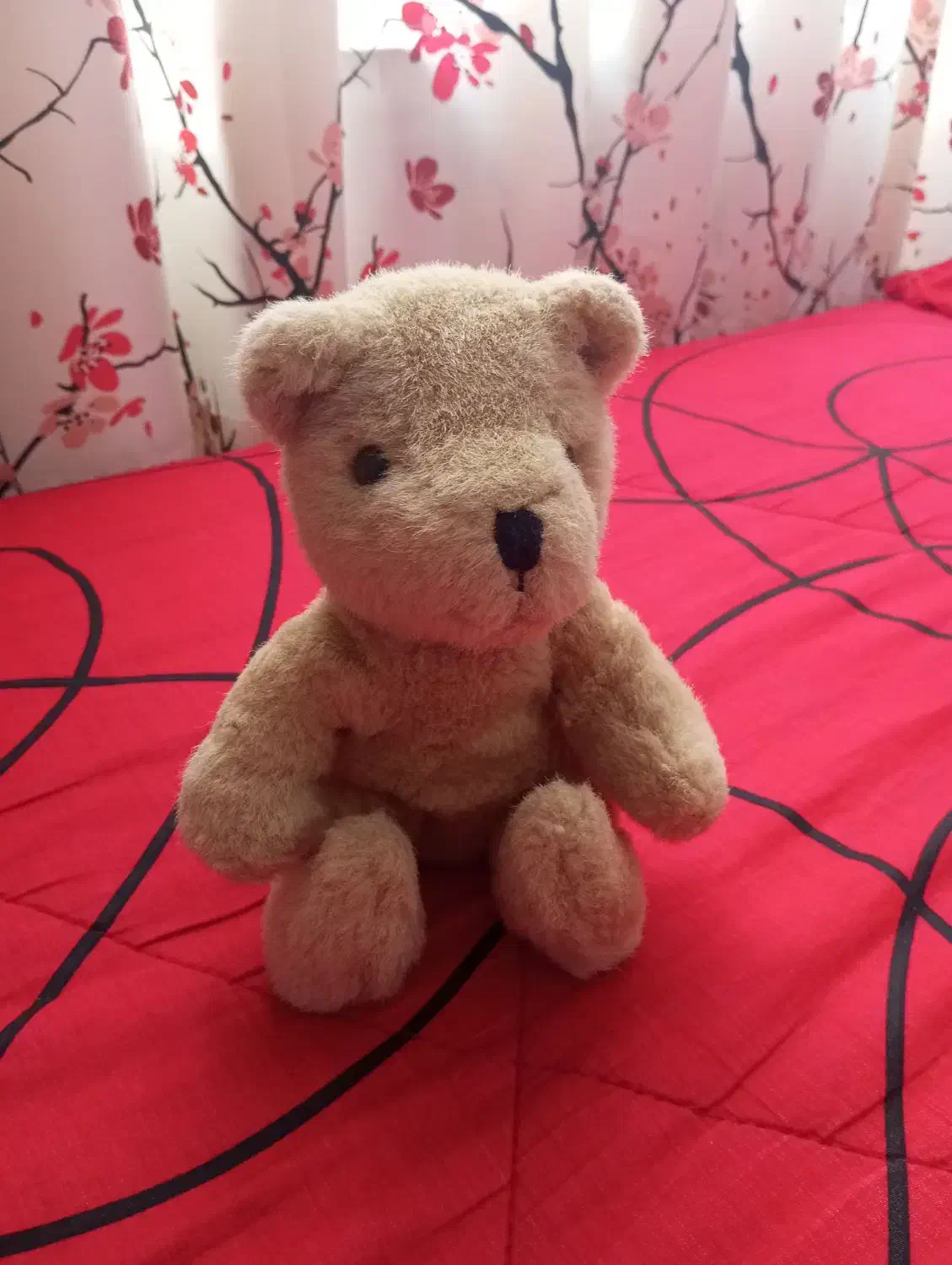 عروسک‌|اسباب‌بازی بچه|رشت, کوی مهر|دیوار