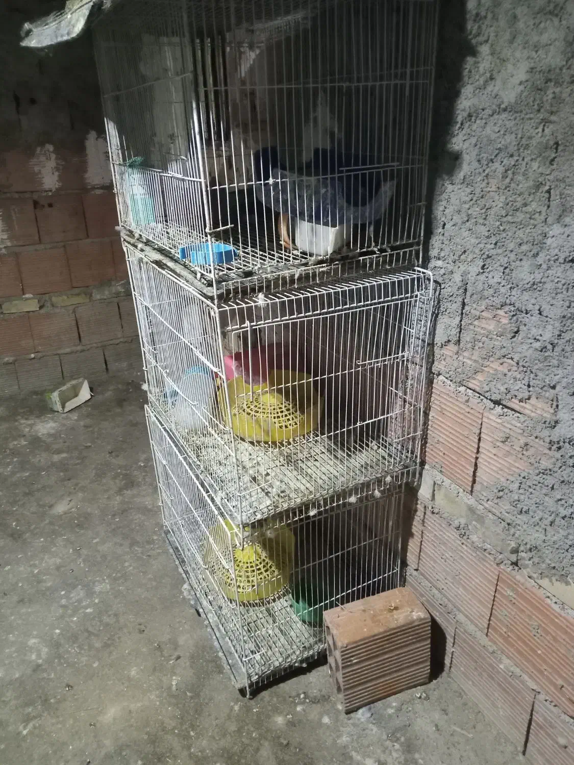 قفس|لوازم جانبی حیوانات|خان ببین, |دیوار