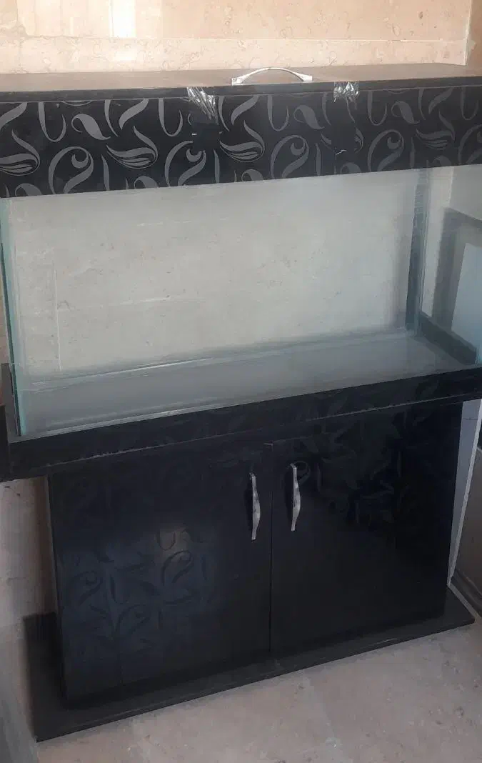 آکواریوم|ماهی|تهران, چهارصد دستگاه|دیوار