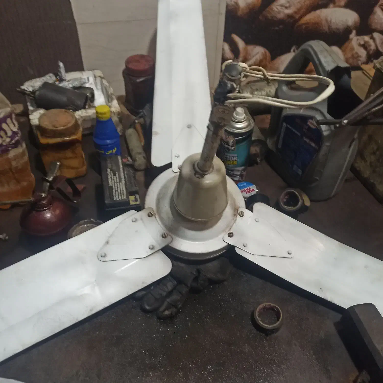 پنکه سقفی|پنکه و تصفیهکنندهٔ هوا|بندرعباس, |دیوار