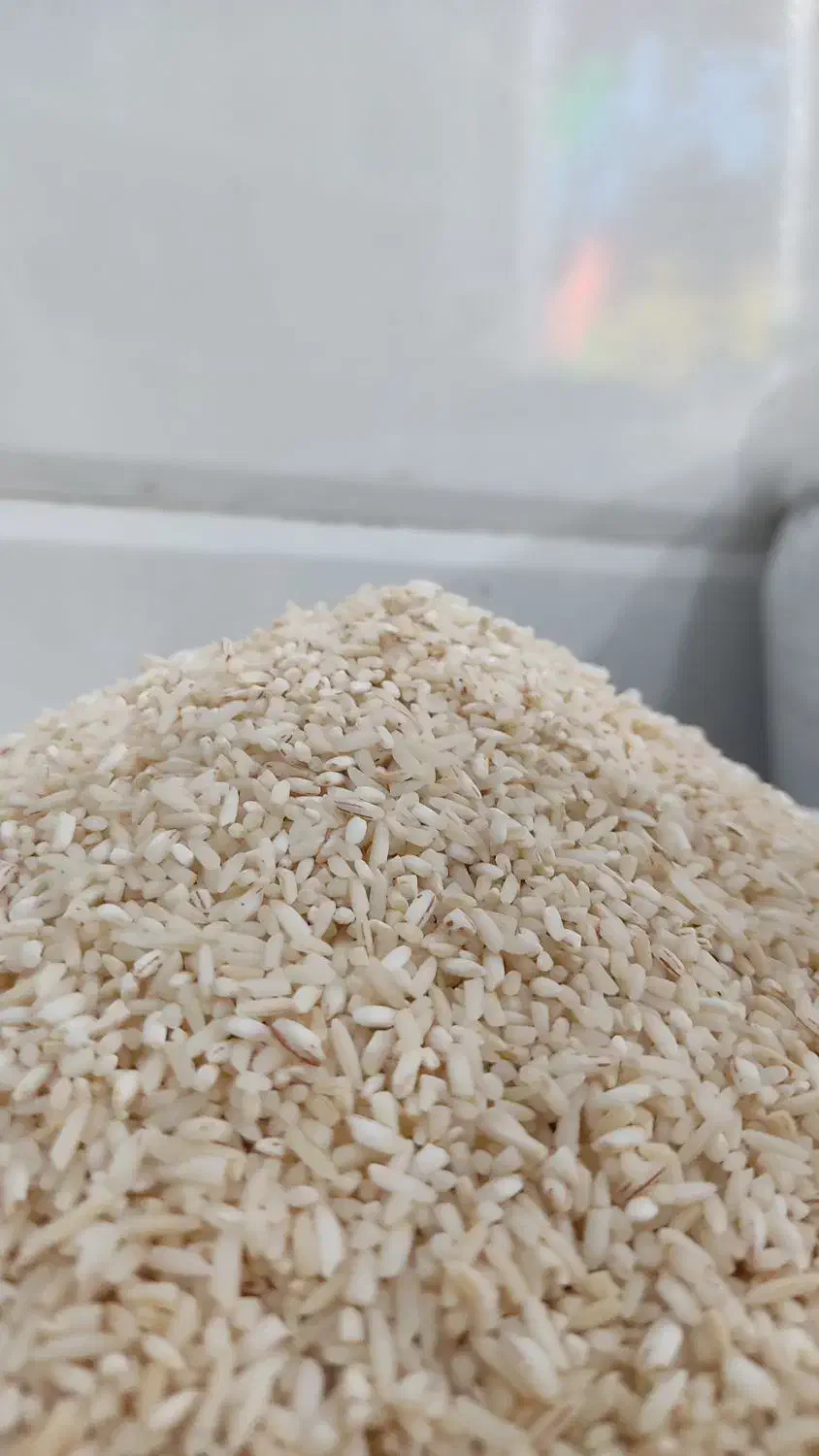 برنج سرلاشه معطر هاشمی|خوردنی و آشامیدنی|قم, باغ شریفی|دیوار