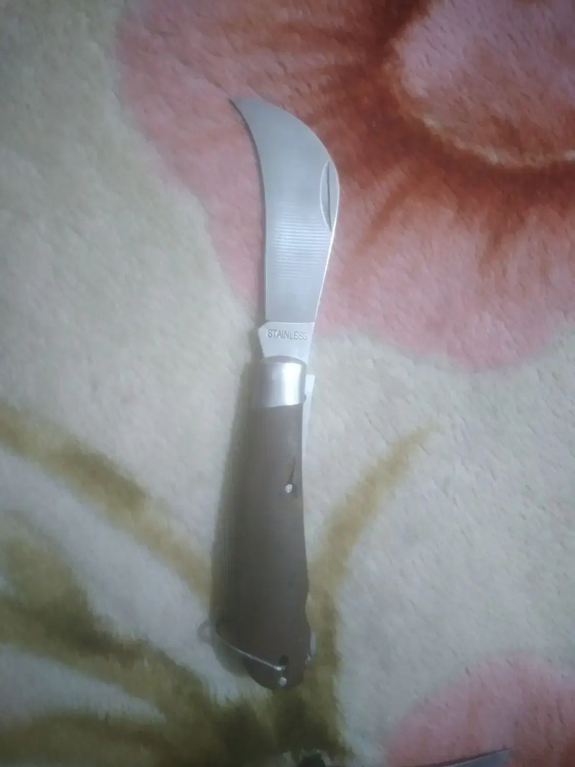 قدیمی هستن معاوضه میکنم|کلکسیون و سرگرمی|ایذه, |دیوار