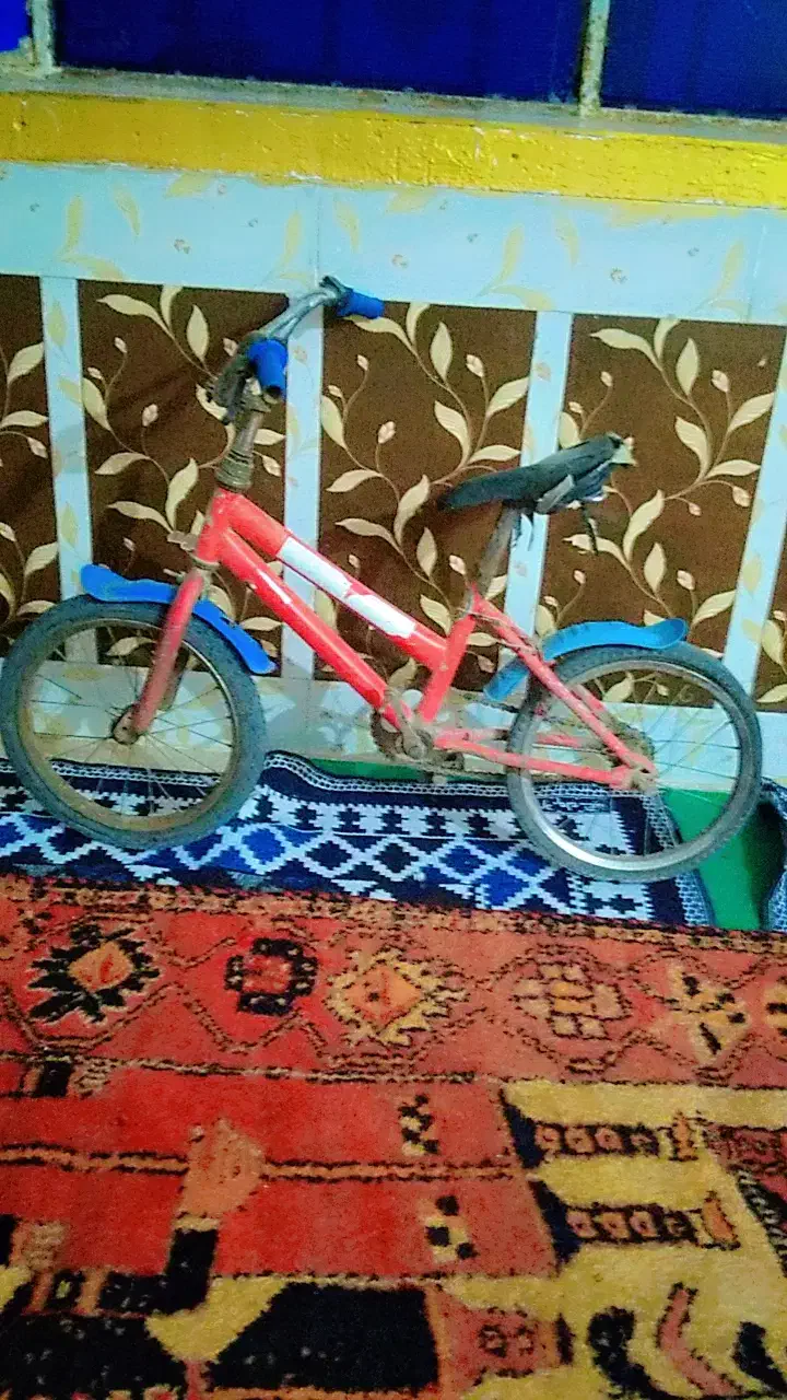 دوچرخه|دوچرخه، اسکیت، اسکوتر|اهواز, ملاشیه|دیوار