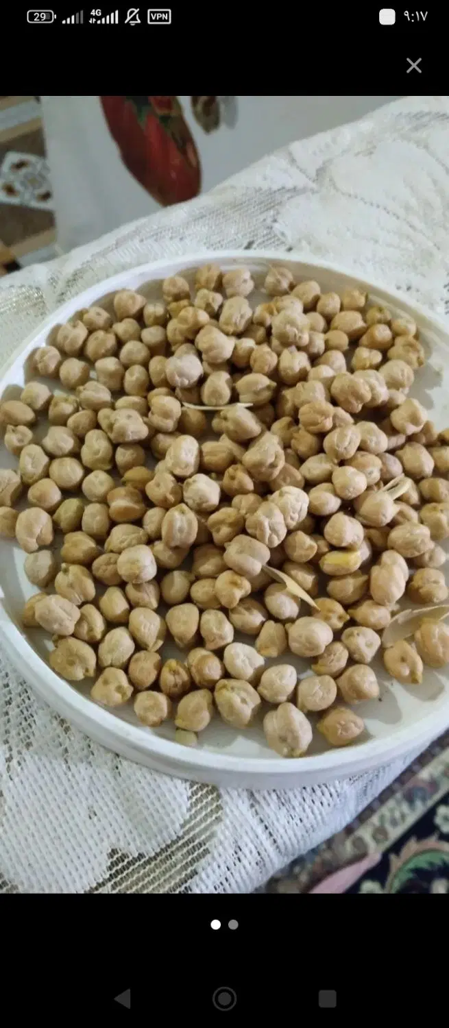 نخود|خوردنی و آشامیدنی|پیشوا, |دیوار