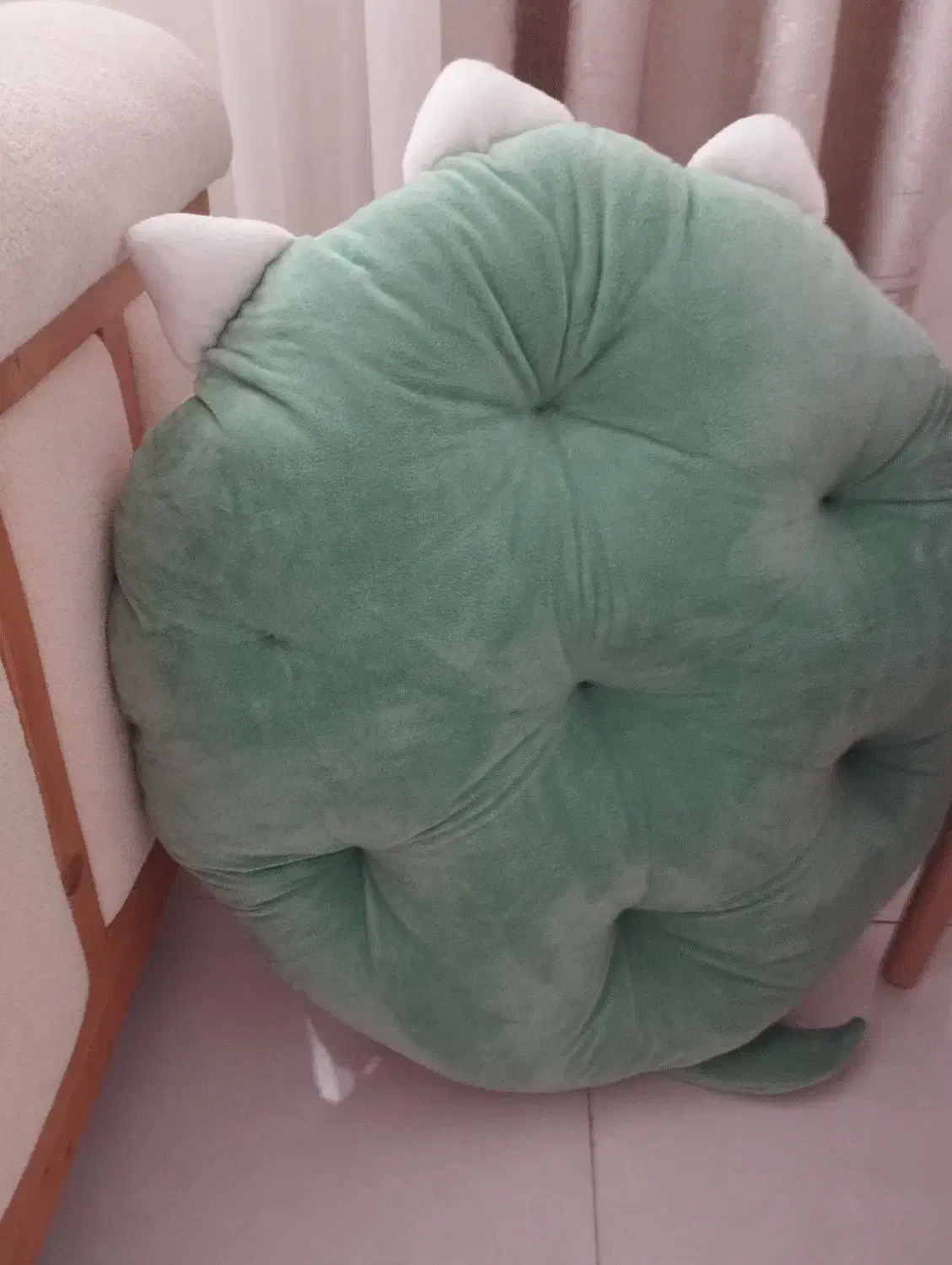 شیتزو فلت دختر۷ماه|سگ|رشت, فلسطین|دیوار