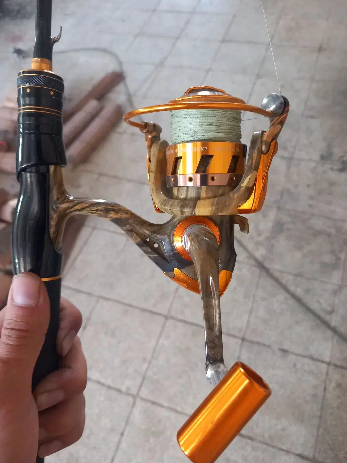 لنسر اسپین|ماهیگیری|سهند, |دیوار