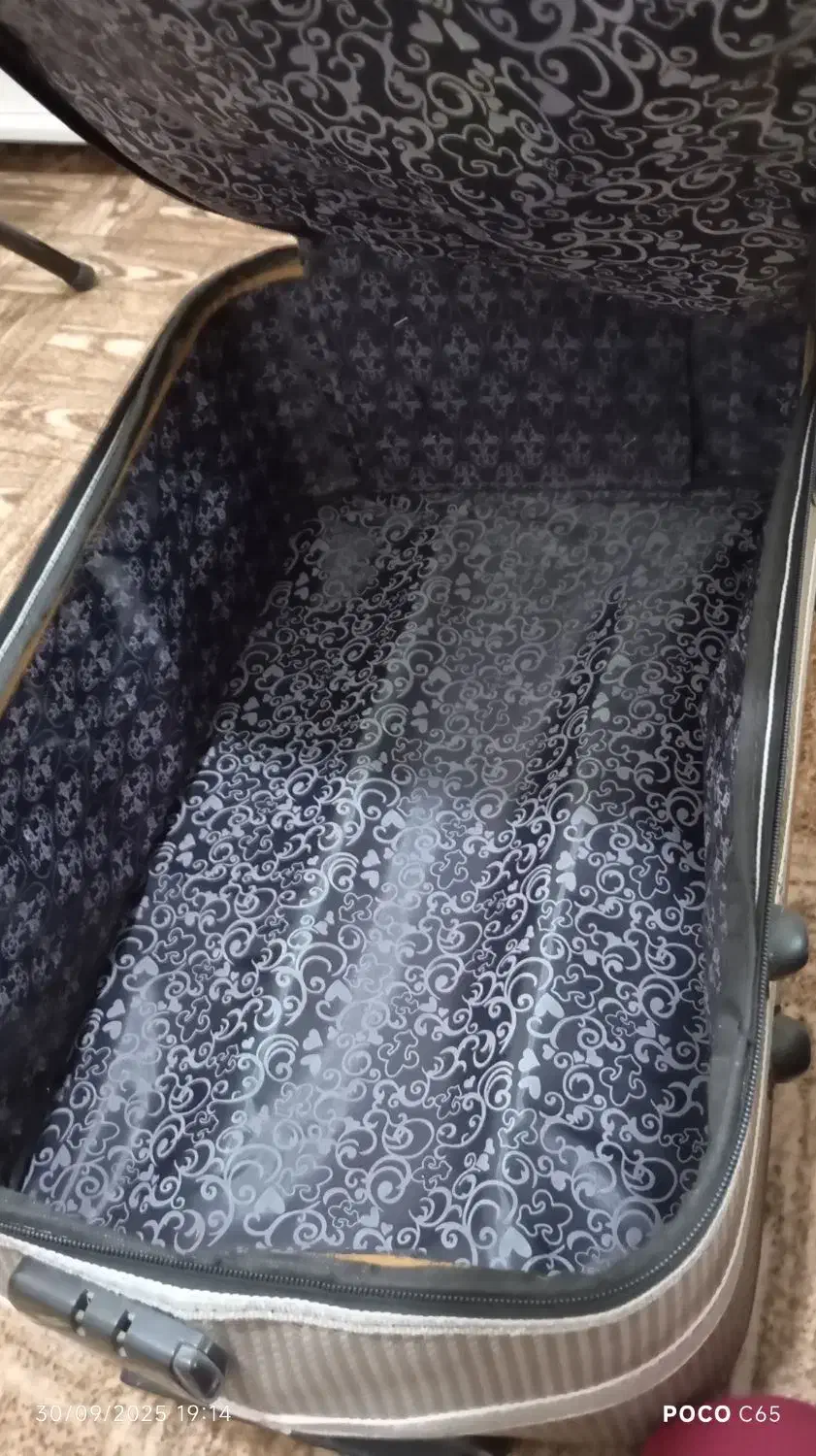 چمدان|کیف، کفش، کمربند|فردیس, منظریه|دیوار