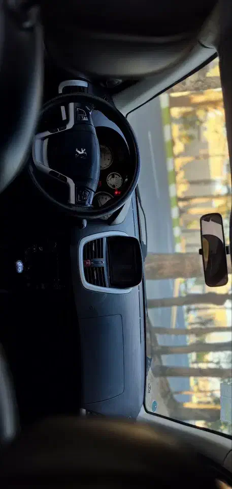 207 tu5|خودرو سواری و وانت|رفسنجان, |دیوار