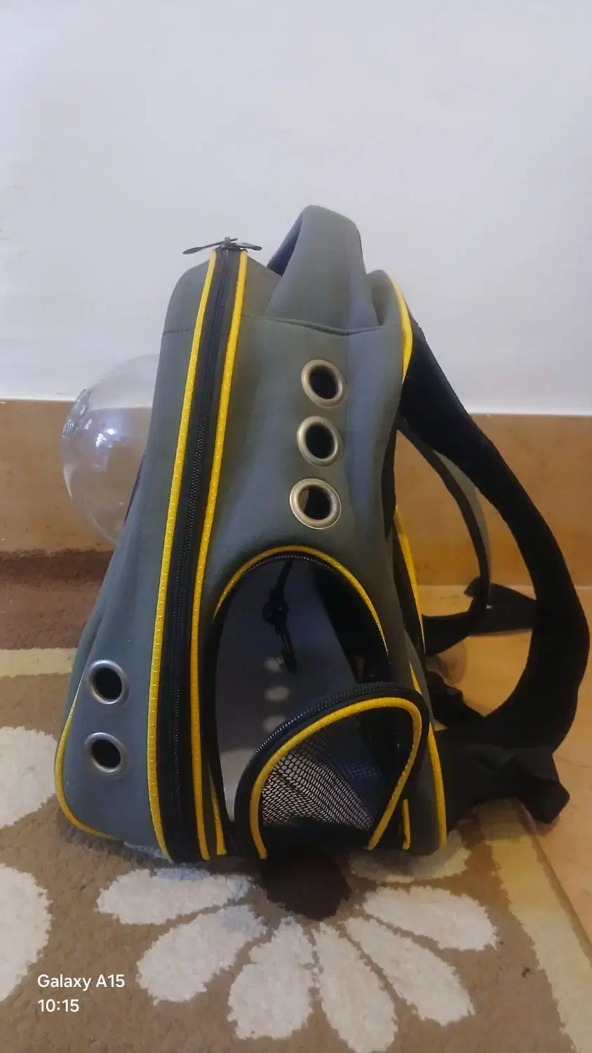 وسایل پت خانگی|لوازم جانبی حیوانات|بروجرد, |دیوار