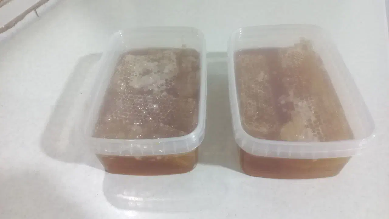 خوراکی سالم و ارگانیک|خوردنی و آشامیدنی|گلبهار, شهر جدید گلبهار|دیوار