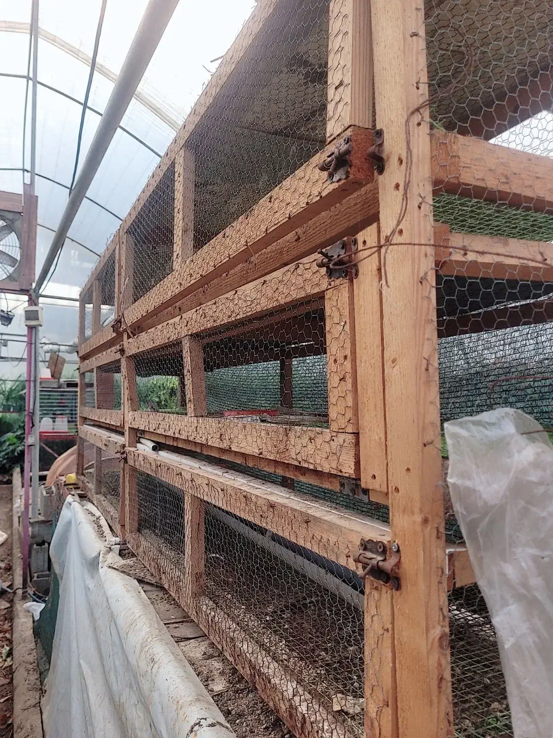 قفس ۳ طبقه پرندگان|لوازم جانبی حیوانات|خرمآباد (تنکابن), |دیوار