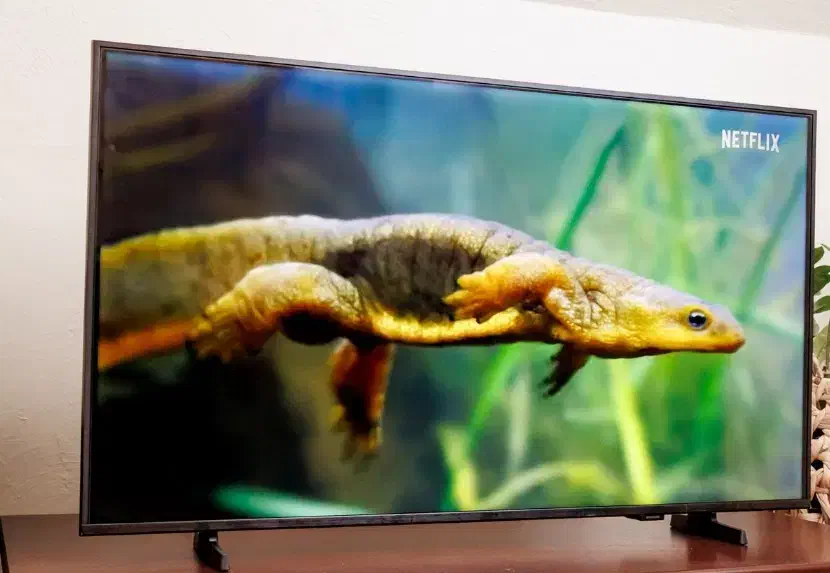 تلویزیون سامسونگ مدل F6000f سری سال2025|تلویزیون و پروژکتور|بانه, |دیوار