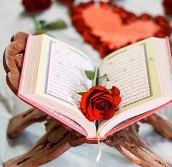 کتاب|کتاب و مجله مذهبی|یزد, |دیوار