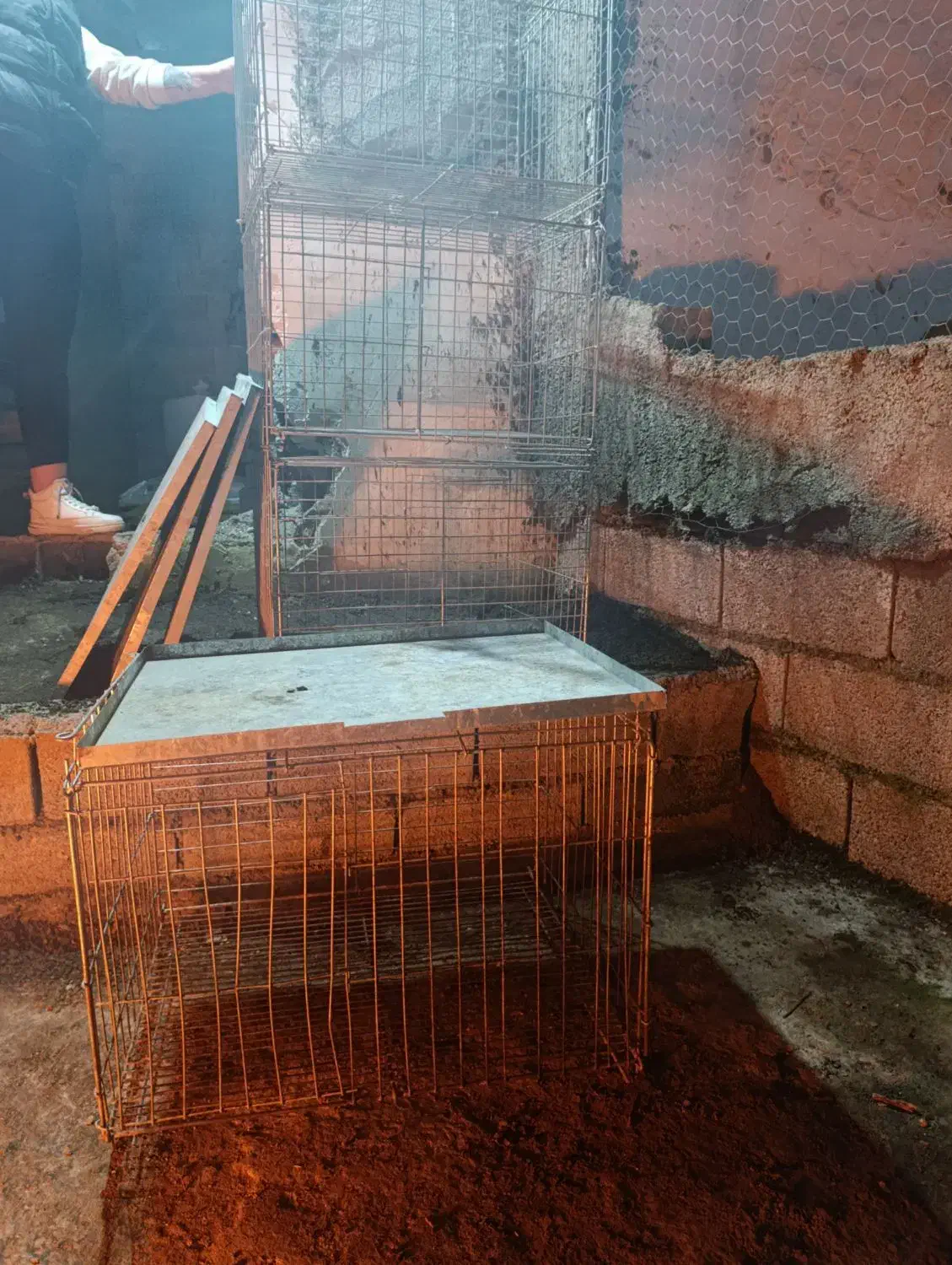 قفس پرنده|لوازم جانبی حیوانات|آستانه اشرفیه, |دیوار