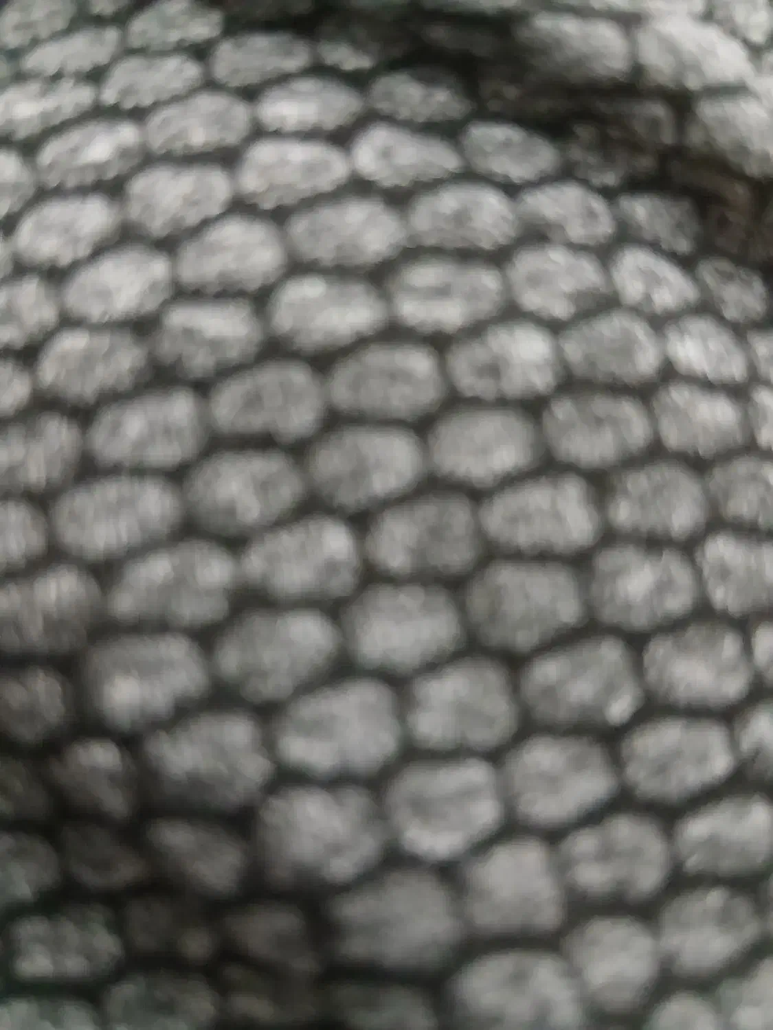 جویای کار هستم|خدمات نظافت|شهرکرد, |دیوار