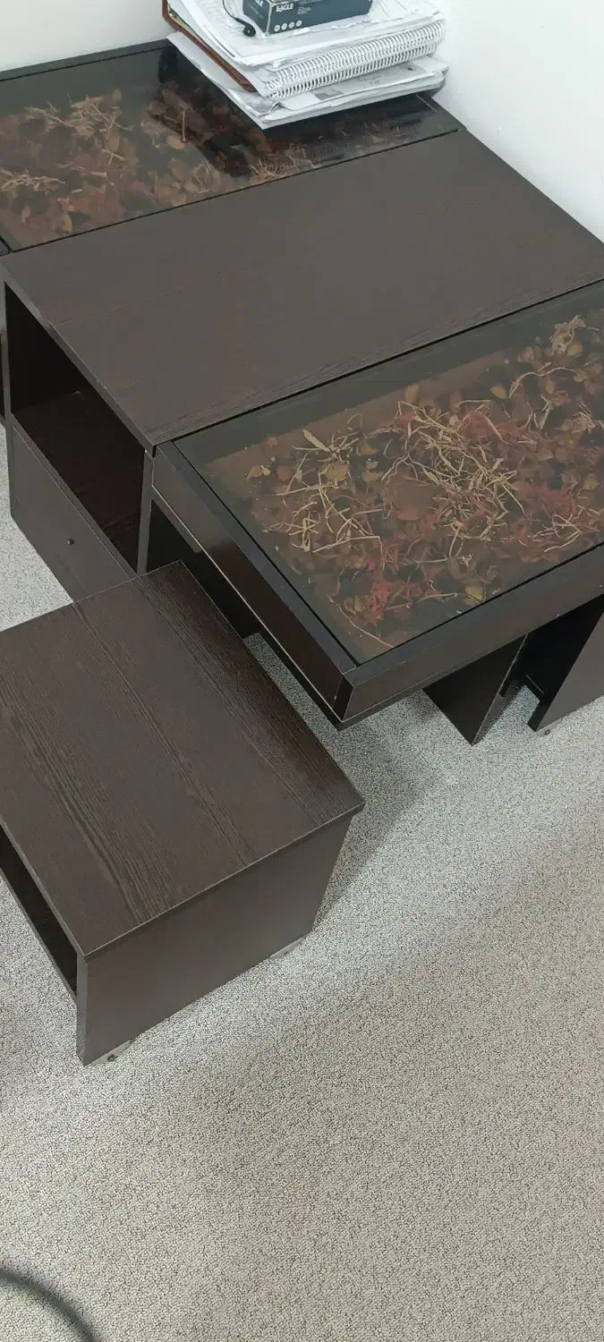 میز عسلی|مبلمان خانگی و میز عسلی|دزفول, |دیوار