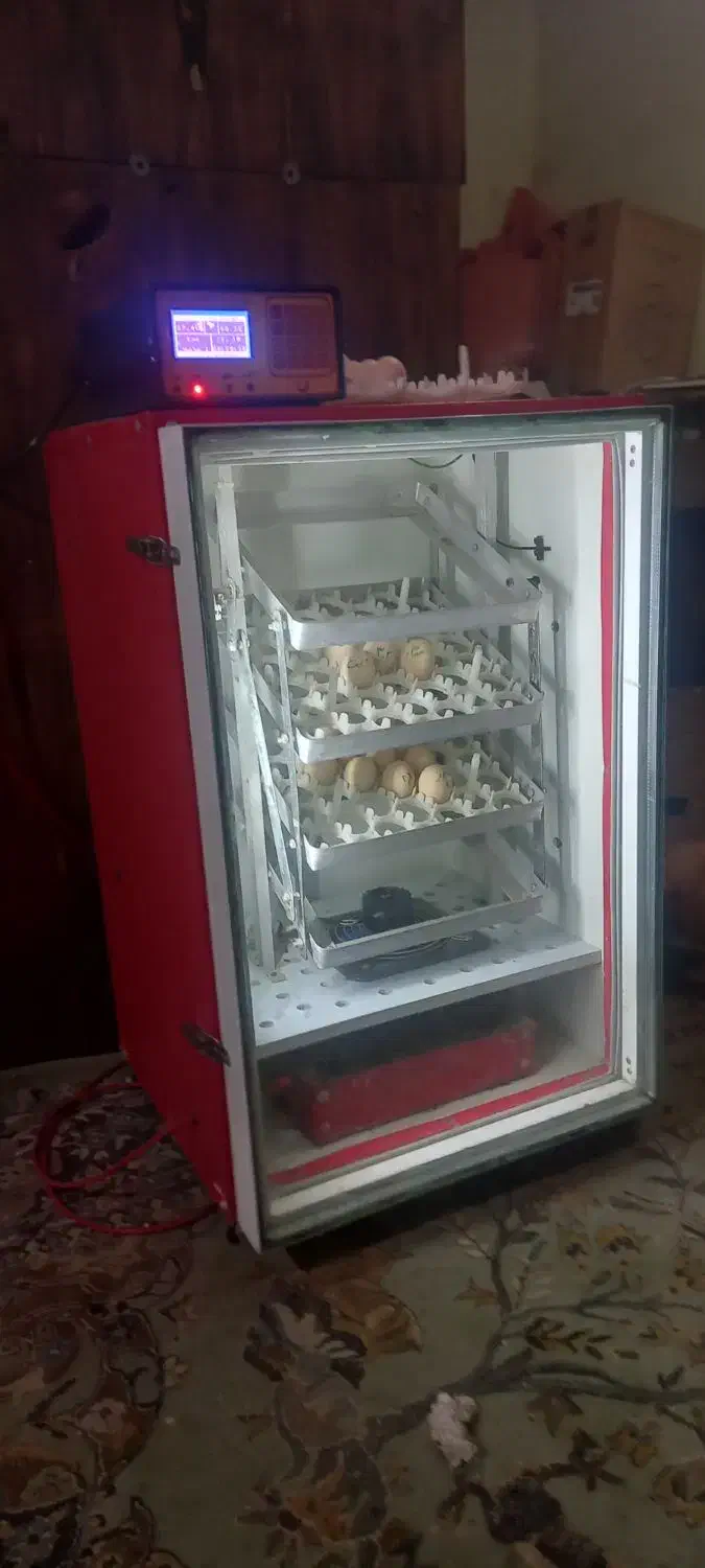 دستگاه جوجه کشی پرشین ویرا|ماشین‌آلات صنعتی|تربت جام, جامرود|دیوار