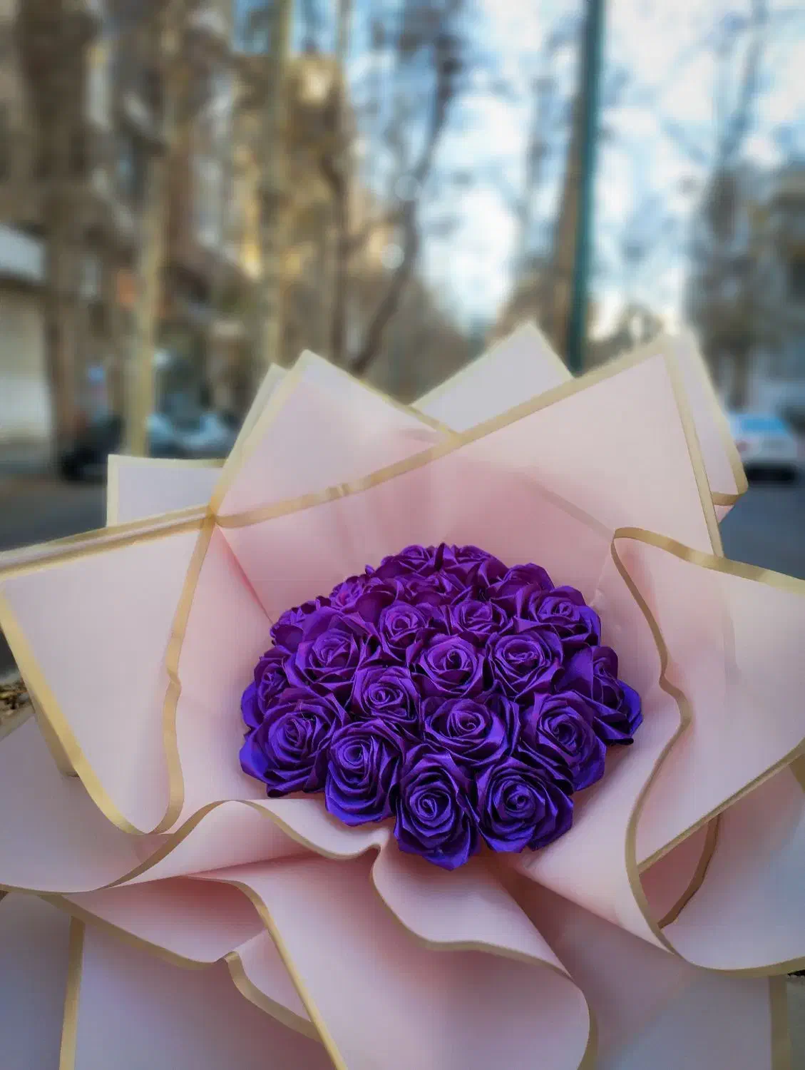 گل ربانی|گل و گیاه طبیعی|کرج, برغان|دیوار