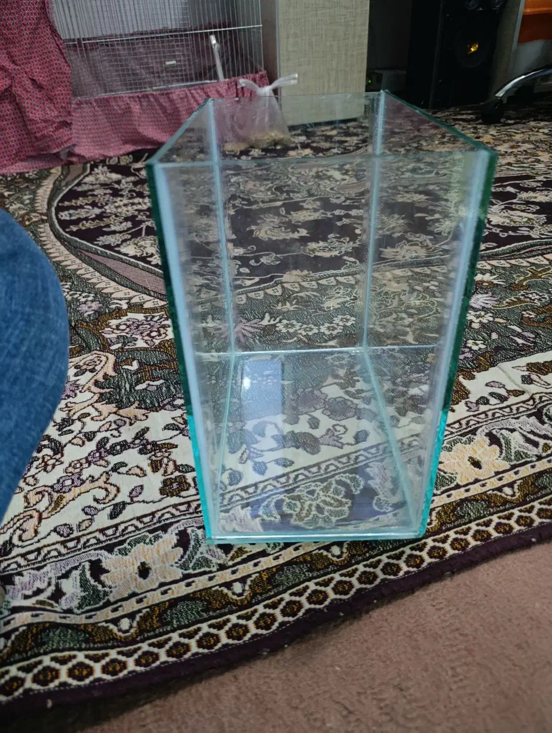 یک عدد آکواریوم|ماهی|مراغه, |دیوار