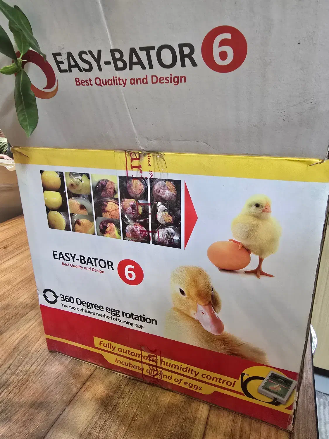 دستگاه جوجه کشی ایزی باتور ۶|لوازم جانبی حیوانات|ری, هاشم‌آباد|دیوار