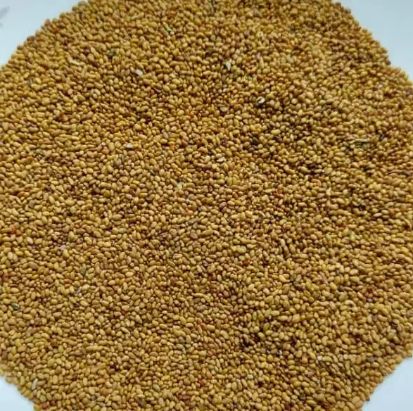 بذر یونجه|خدمات باغبانی و درختکاری|شیراز, رکن‌آباد|دیوار