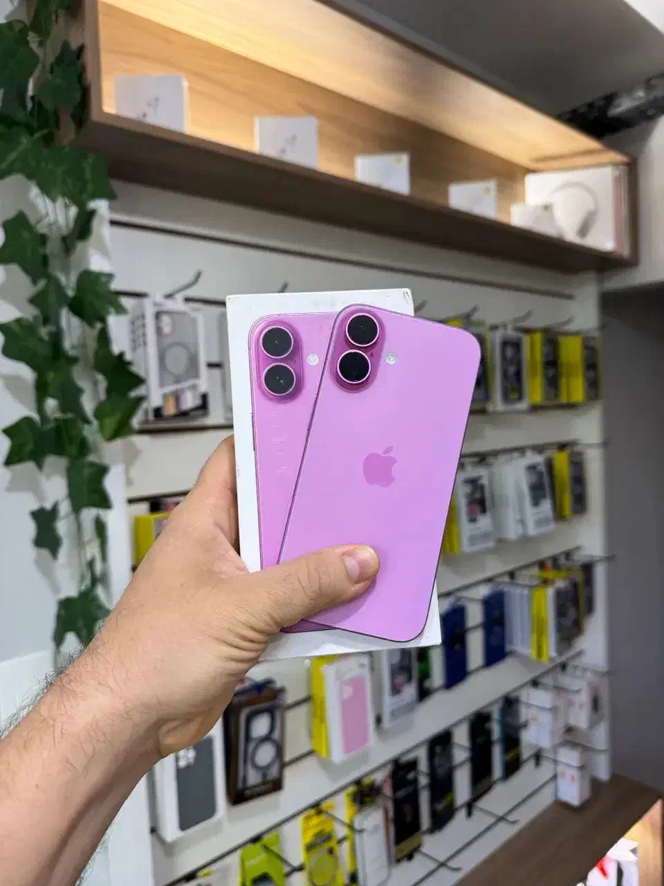 آیفون 16 نرمال (قسطی با چک)|موبایل|زاهدان, |دیوار