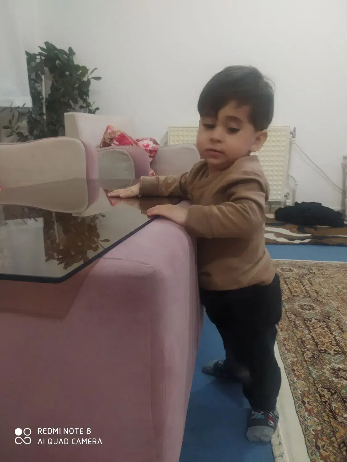 فرش  تعدادی لوازم برقی آکبند منزل برا کادو وجهیزیه|فرش|ارومیه, |دیوار