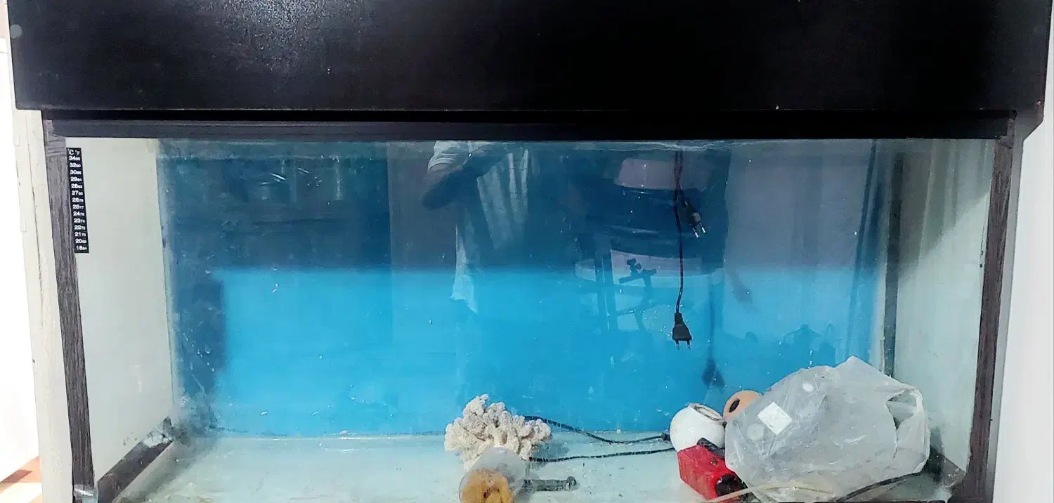 آکواریوم بزرگ با تمام وسایل ،بدون ماهی|ماهی|فامنین, |دیوار