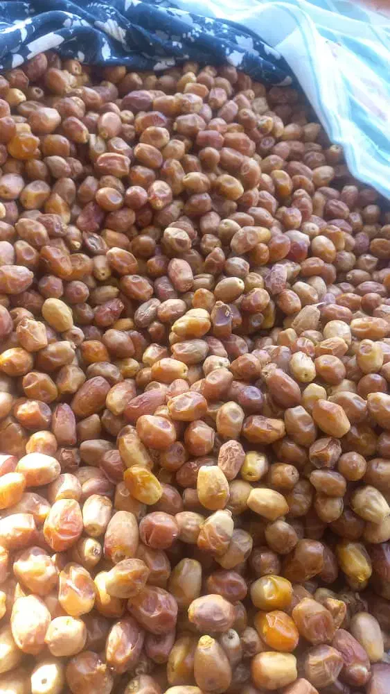 قصب|عمده‌فروشی|زرین دشت (فارس), |دیوار