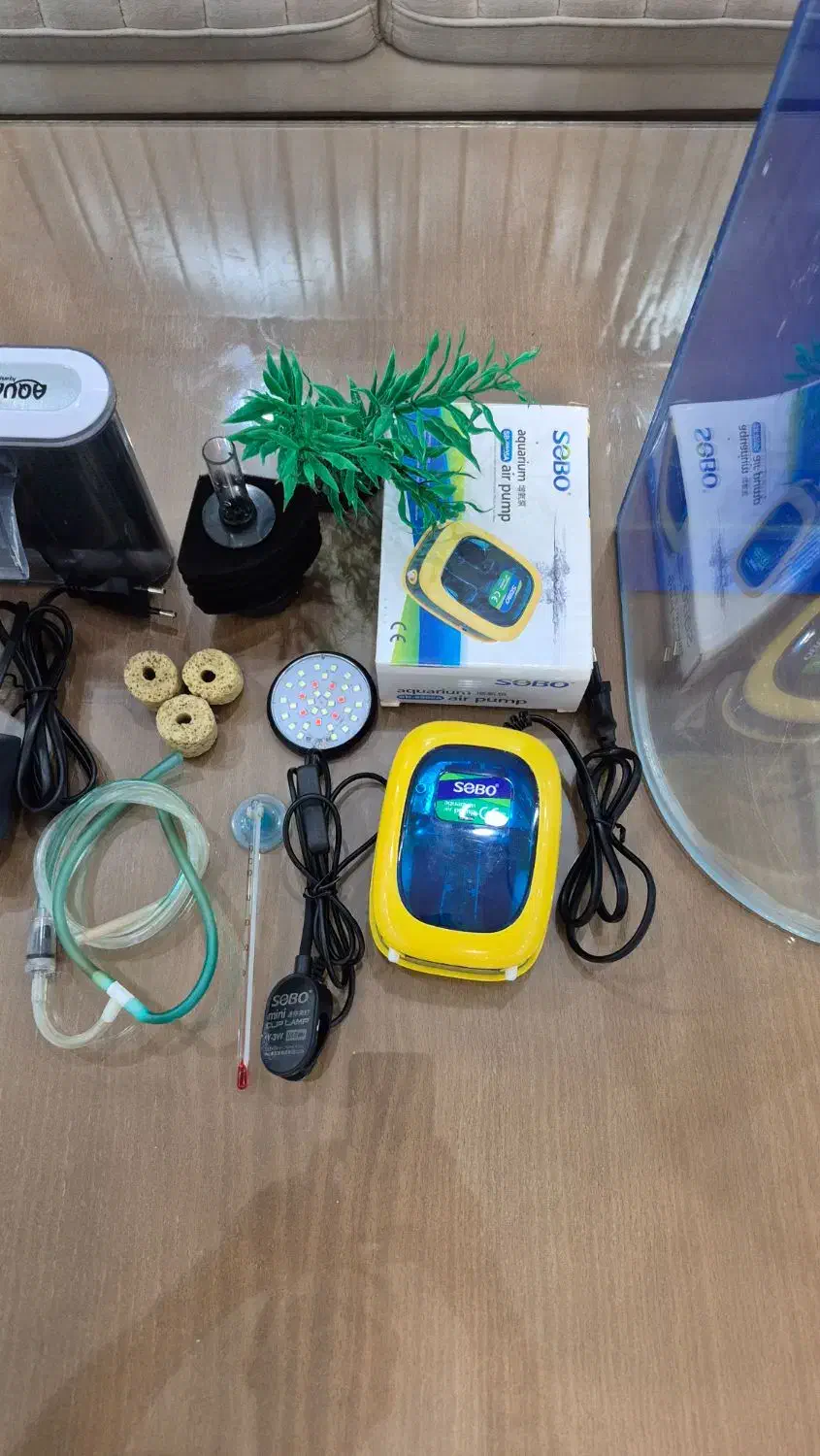 آکواریوم با تمام متعلقات|ماهی|رشت, پارک شهر|دیوار