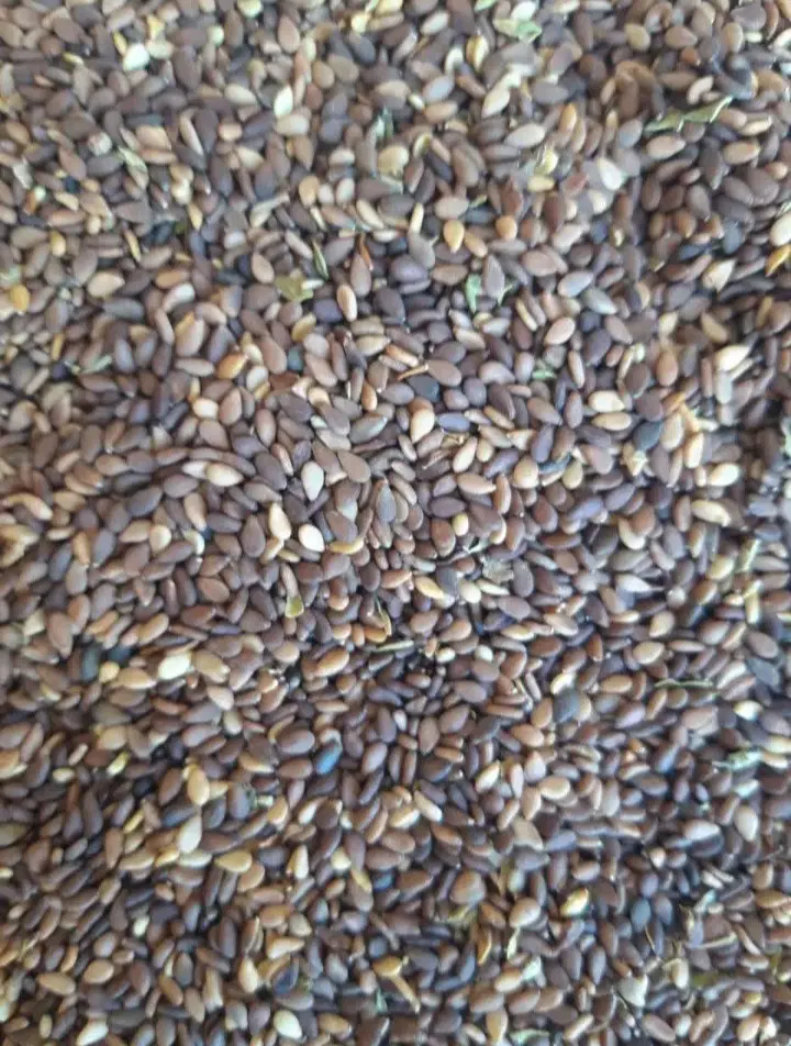 کنجد|خوردنی و آشامیدنی|برازجان, |دیوار