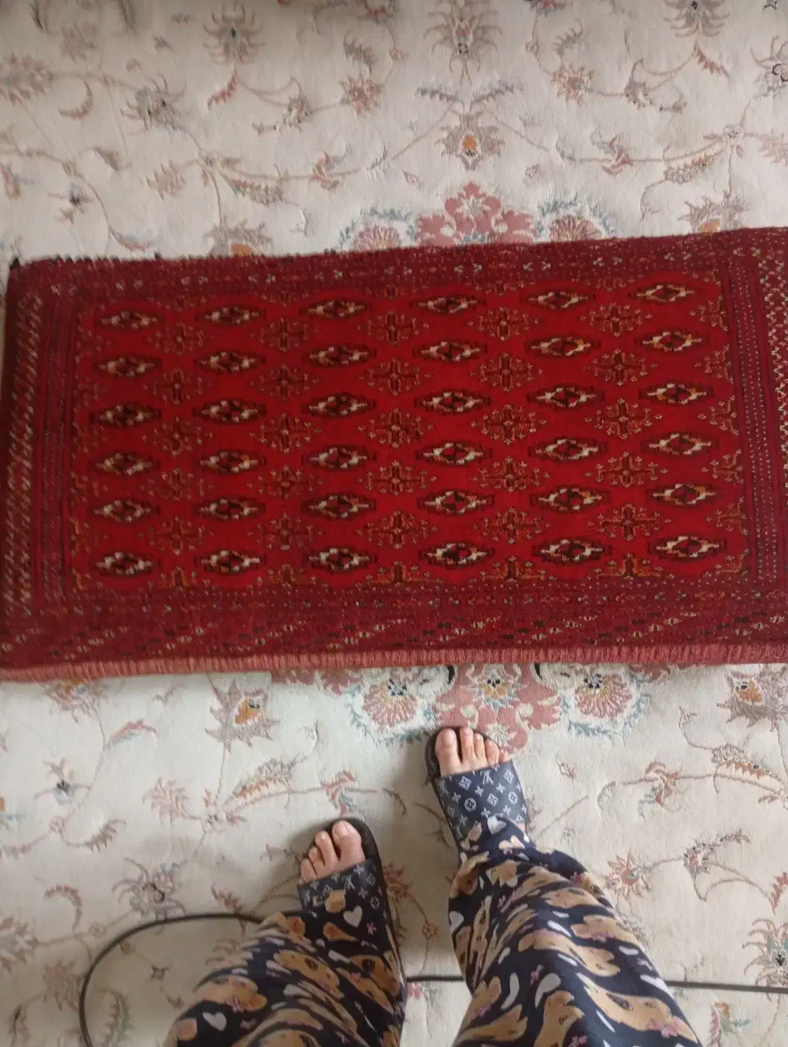 پشتی دستبافت|پشتی|ری, علایین|دیوار