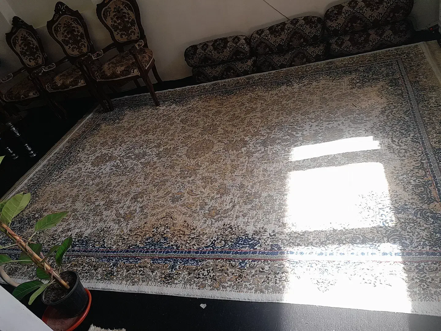 جفت ۹ متری|فرش|قم, شهدا|دیوار