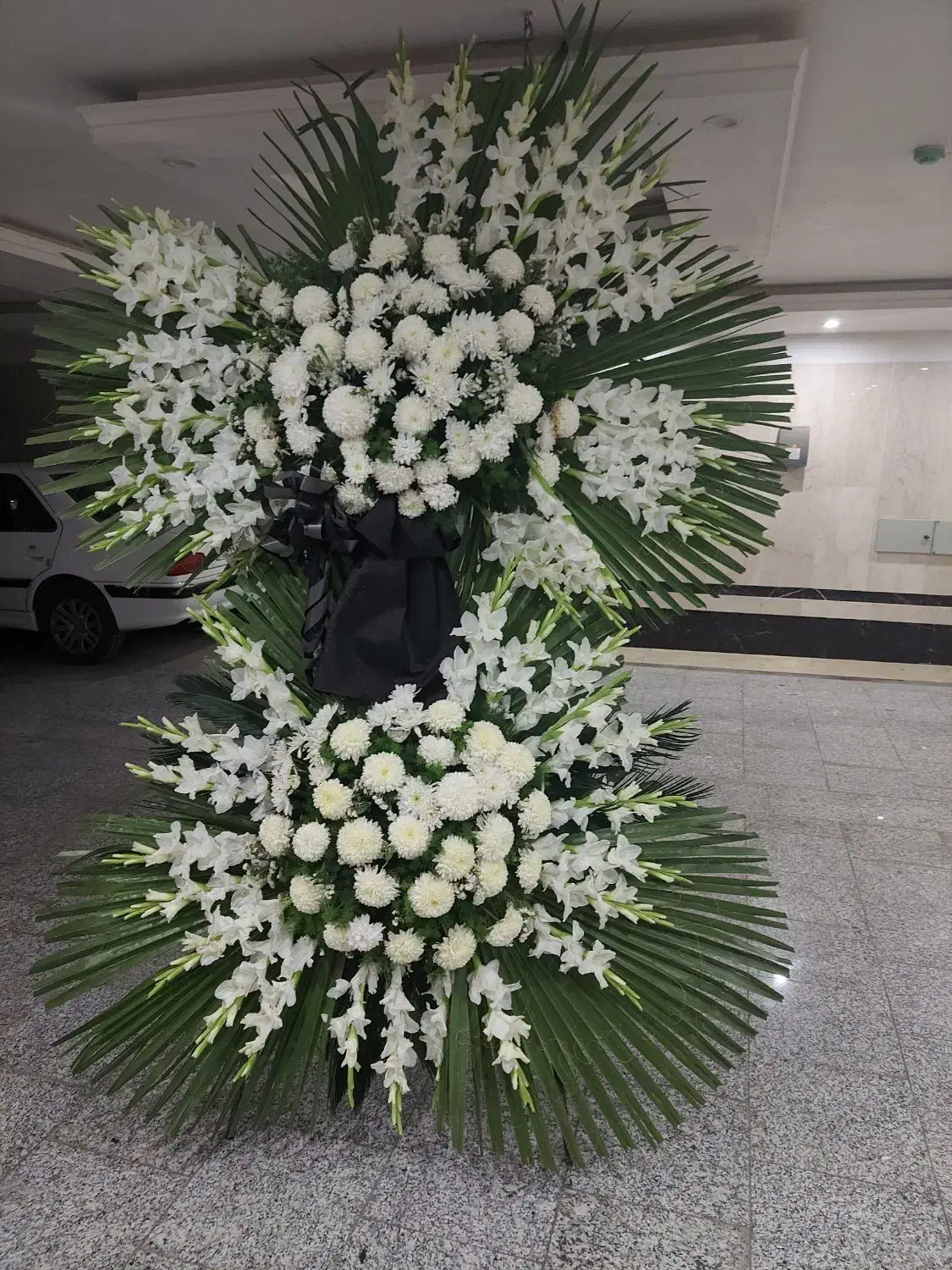 تاج گل|گل و گیاه طبیعی|تهران, باغ خزانه|دیوار