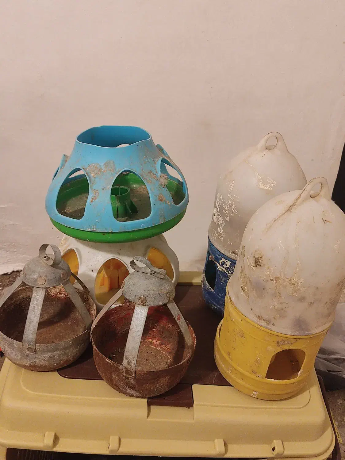 آبخوری کفتر جوجه|لوازم جانبی حیوانات|مشهد, نظام دوست|دیوار