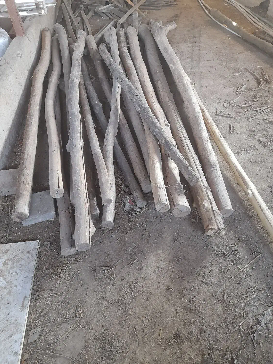 چوب صنوبر|مصالح و تجهیزات ساختمان|رشت, سیا اسطلخ|دیوار