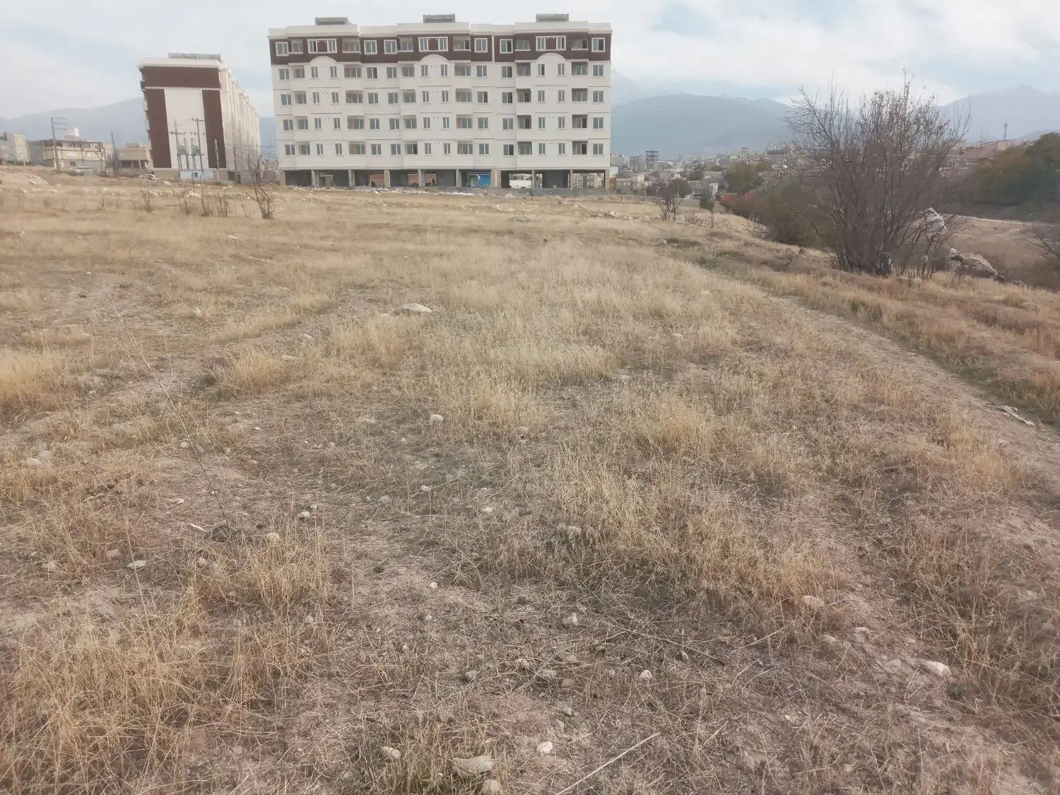 فروش زمین ۴۷۰ متری|فروش زمین و ملک کلنگی|مشگین شهر, |دیوار