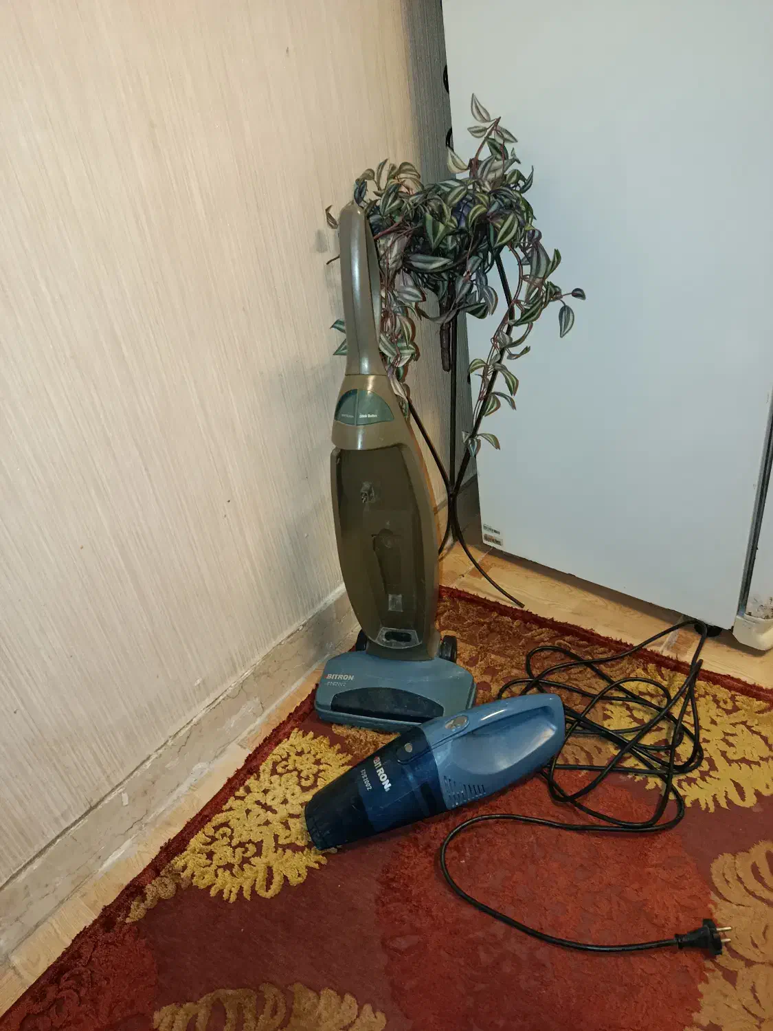 جارو برقی ایستاده (عصایی)|جاروبرقی، جارو شارژی، بخارشو|رشت, منظریه|دیوار