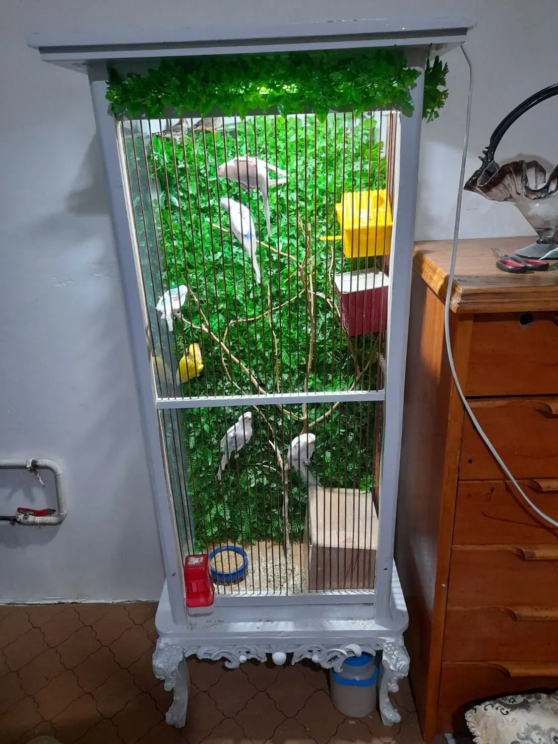 قفس پرنده ۵۵۰۰|پرنده|الوند, |دیوار