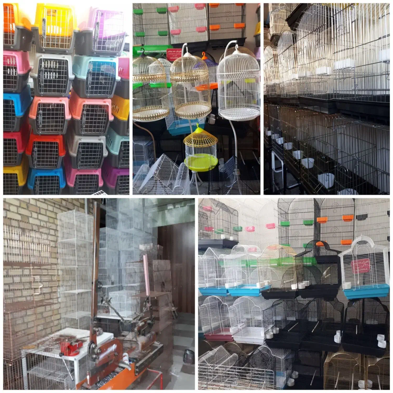 قصرقفس|لوازم جانبی حیوانات|مشهد, چهارچشمه|دیوار