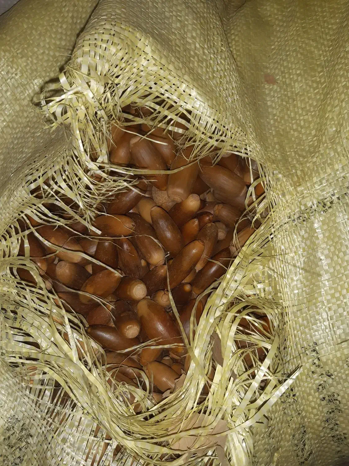 بلوط|خوردنی و آشامیدنی|اندیمشک, |دیوار