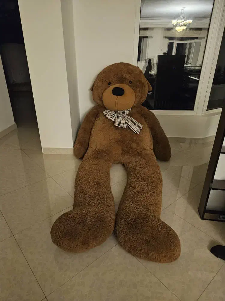 خرس دو متری|اسباببازی|نوشهر, |دیوار