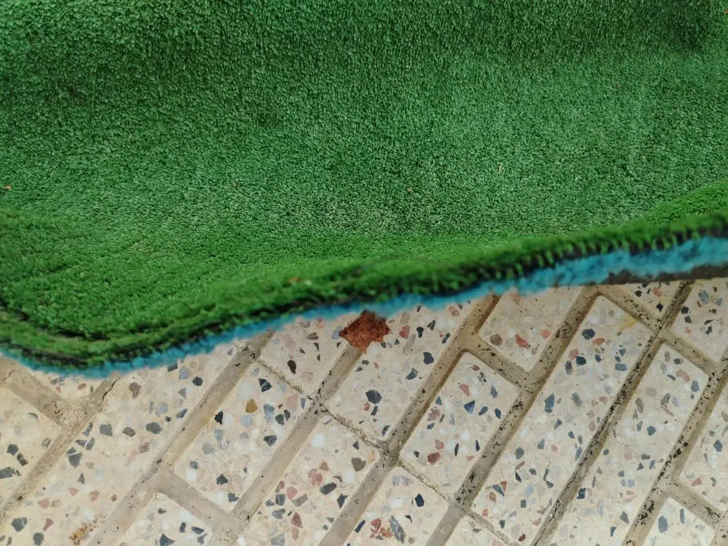 چمن و سایبان|فرش|نجف‌آباد, شیخ بهایی|دیوار