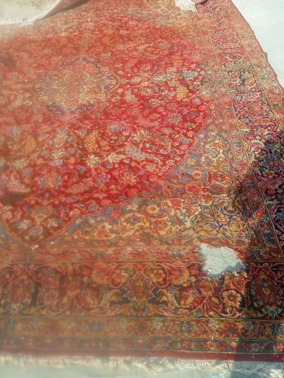 قالی کرمانی دسته دوم|فرش|رفسنجان, |دیوار