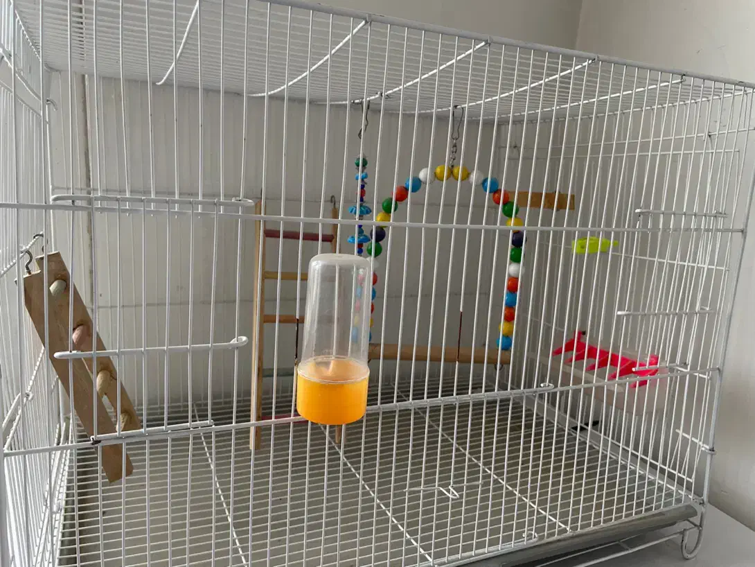 قفس|لوازم جانبی حیوانات|بیرجند, |دیوار