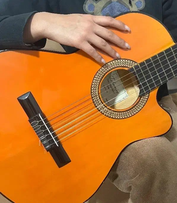 گیتار|گیتار، بیس، امپلیفایر|سبزوار, توحیدشهر|دیوار